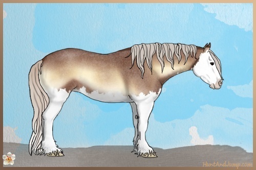 Horse Color:Silver Brown Roan Onyx Splash 
