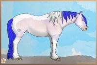 Horse Color:Watercolor Sable Champagne Chinchilla Onyx Tobiano 