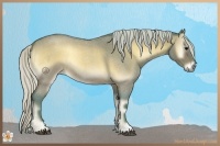 Horse Color:Watercolor Silver Brown Roan Onyx Rabicano 