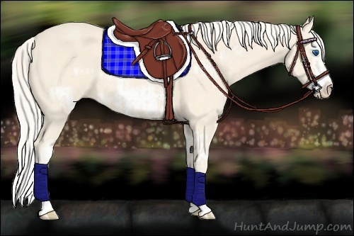 Horse Color:Cremello Splash  and Cremello Splash Frame 