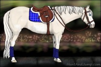 Horse Color:Cremello Splash  and Cremello Splash Frame 