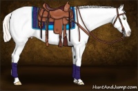 Horse Color:Silver Amber Champagne Dun Sabino Splash Frame Appaloosa