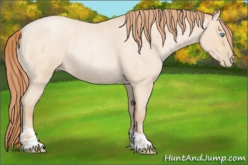 Horse Color:Buckskin Roan Pearl and Buckskin Roan Pearl