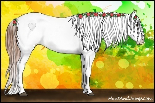 Horse Color:Red Roan Appaloosa 