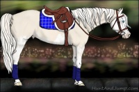 Horse Color:Cremello Splash  and Cremello Splash 