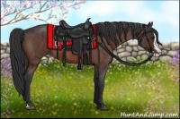 Horse Color:Bay Roan Splash 