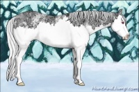 Horse Color:White Spotted Silver Brown Chinchilla Ice Splash