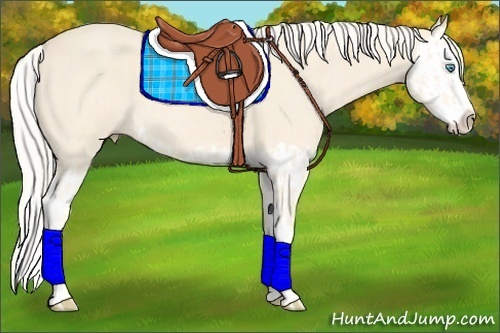 Horse Color:Cremello Splash  and Cremello Splash 
