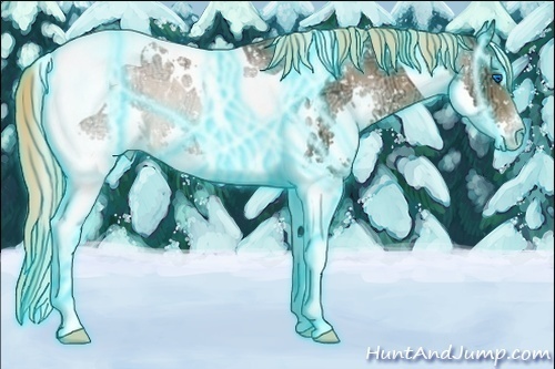 Horse Color:Thunderstruck White Spotted Liver Chestnut Ice Splash Tobiano Appaloosa 