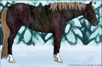 Horse Color:Liver Chestnut Ice