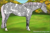 Horse Color:Painted White Spotted Silver Grullo Chinchilla Ice 