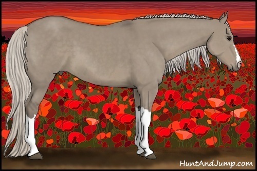 Horse Color:Silver Smoky Grullo 