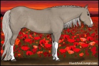 Horse Color:Silver Smoky Grullo