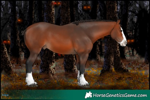 Horse Color:Brown Splash 