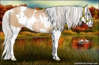 Horse Color:White Spotted Silver Bay Pearl Splash Rabicano