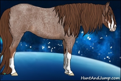 Horse Color:Red Roan Sabino 