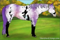 Horse Color:Watercolor White Spotted Brown Varnish