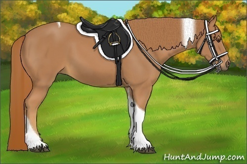 Horse Color:Chestnut Tobiano