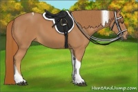 Horse Color:Chestnut Tobiano