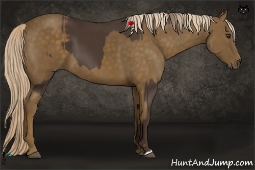 Horse Color:Liver Chestnut  and Chocolate Palomino Rabicano 