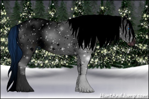 Horse Color:ERROR: UNKNOWN ANOMALY