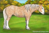 Horse Color:Cremello Splash  and Gray Cremello Splash 