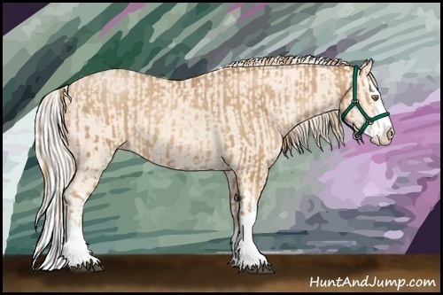 Horse Color:Chestnut Pearl Splash and Cremello Splash
