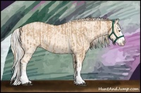 Horse Color:Chestnut Pearl Splash and Cremello Splash