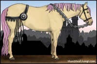 Horse Color:Painted Palomino Dun 