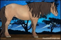 Horse Color:Amber Champagne 