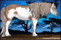 Horse Color:Palomino Splash Frame 