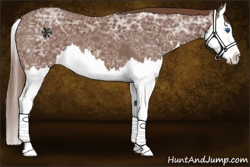 Horse Color:Chestnut Ice Splash 