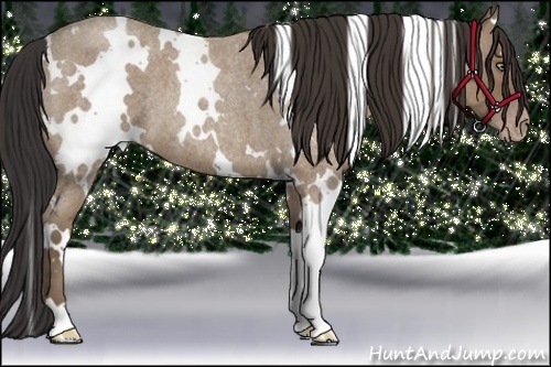 Horse Color:White Spotted Classic Champagne Roan Frame 