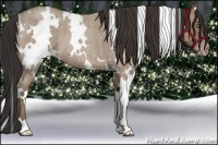 Horse Color:White Spotted Classic Champagne Roan Frame