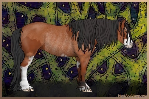 Horse Color:Bay Sabino Rabicano and Bay Sabino Rabicano