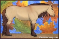 Horse Color:Chocolate Bay Roan Dun