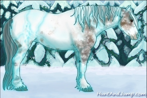 Horse Color:Thunderstruck White Spotted Bay Sabino Frame Appaloosa Rabicano 