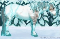 Horse Color:Thunderstruck White Spotted Bay Sabino Frame Appaloosa Rabicano 