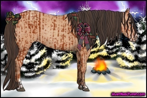 Horse Color:Bay Sabino Rabicano  and Amber Champagne Sabino Rabicano 