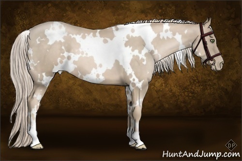 Horse Color:White Spotted Chocolate Palomino Pearl 