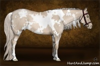 Horse Color:White Spotted Chocolate Palomino Pearl 