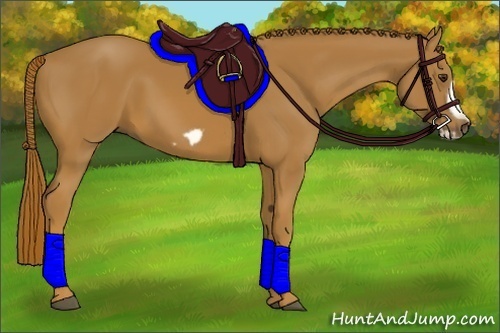 Horse Color:Chestnut Frame 