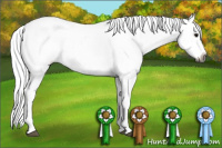 Horse Color:Gray White Spotted Black Snowcap 