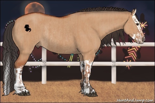 Horse Color:Bay Dun Sabino Rabicano  and Bay Dun Sabino Splash Rabicano 