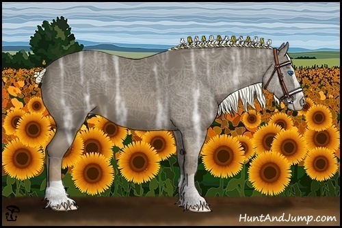 Horse Color:Liver Chestnut Ice Splash 