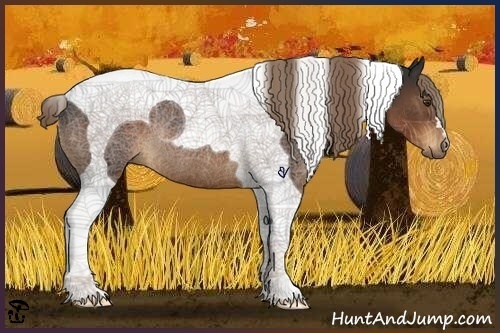 Horse Color:Liver Chestnut Tobiano Rabicano 