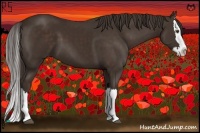 Horse Color:Liver Chestnut Sabino Splash