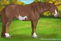 Horse Color:Chestnut Frame