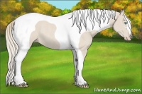 Horse Color:Smoky Creme Sabino Tobiano Frame Rabicano