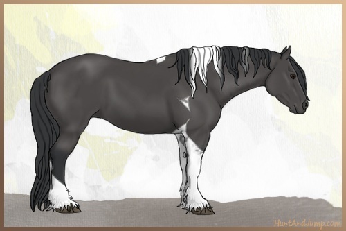 Horse Color:Black Tobiano 